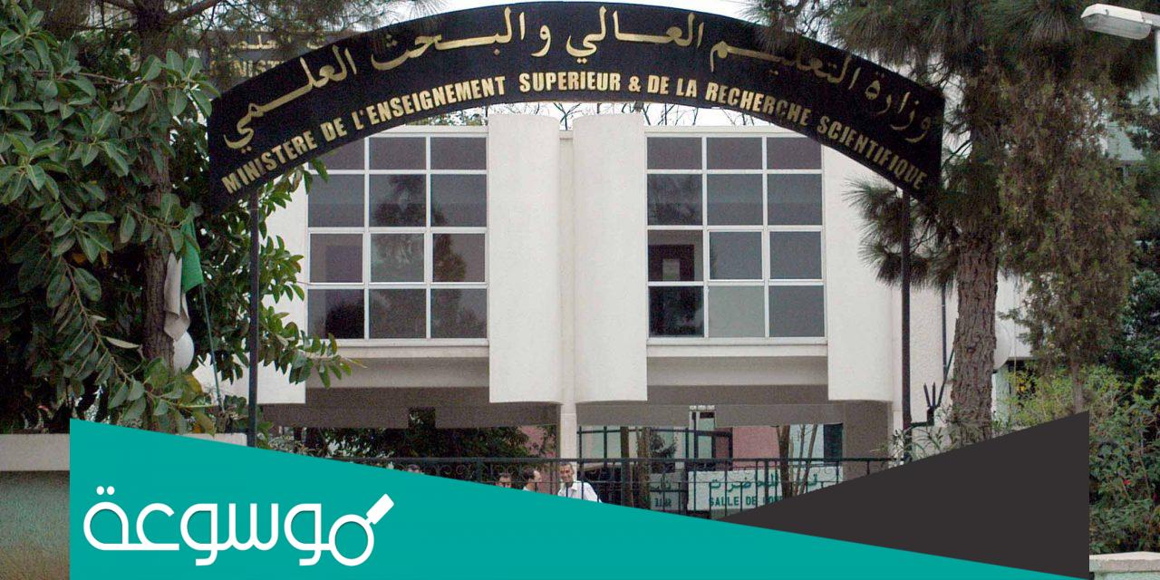 ما هي حقيقة تعليق الدراسة في الجزائر 2022