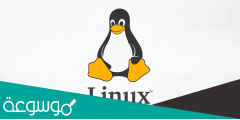 ما هي وحدة خدمة linux المؤسسية؟