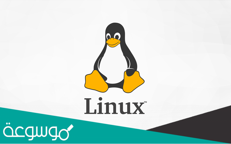 ما هي وحدة خدمة linux المؤسسية؟