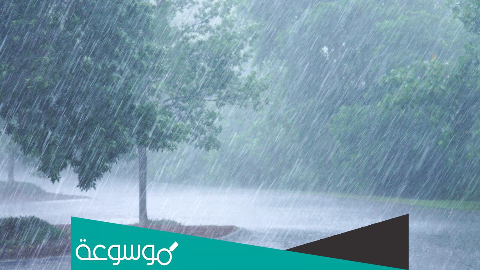 مانسيتك والدنيا جفاف كيف بنساك والدنيا مطر تويتر