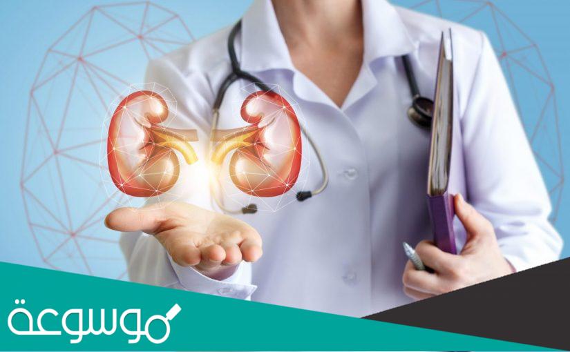 ماهي الاكلات التي تضر الكلى