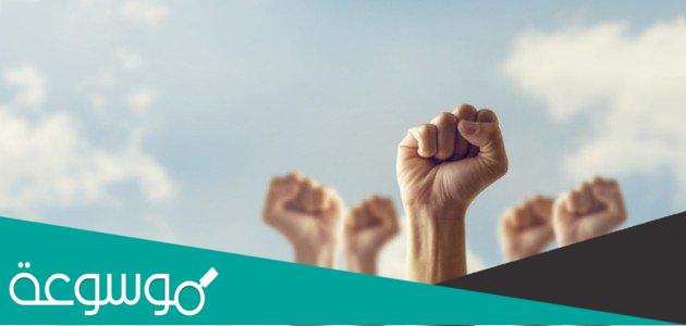 متى تم انشاء المجلس القومي لحقوق الانسان