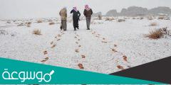 متى ينتهي الشتاء في السعودية 1443