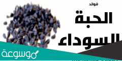 فوائد زيت الحبة السوداء وأهم المعلومات عنها