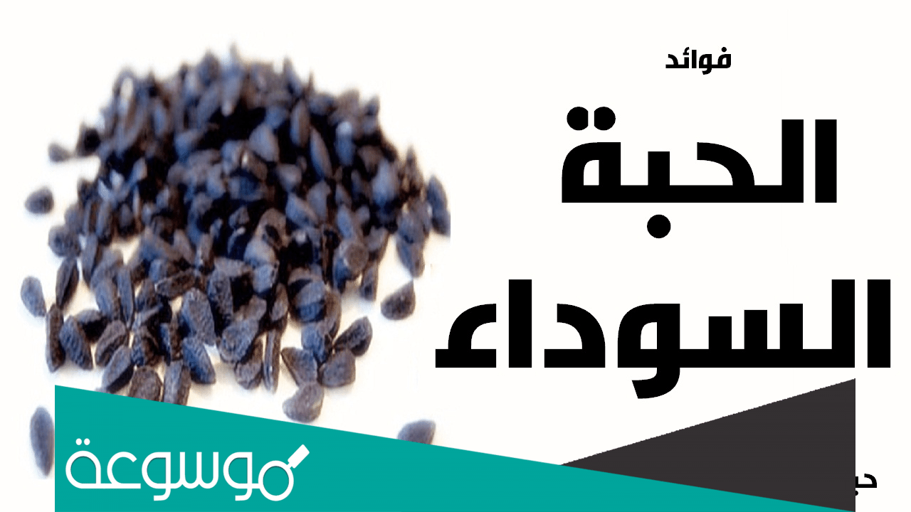فوائد زيت الحبة السوداء وأهم المعلومات عنها