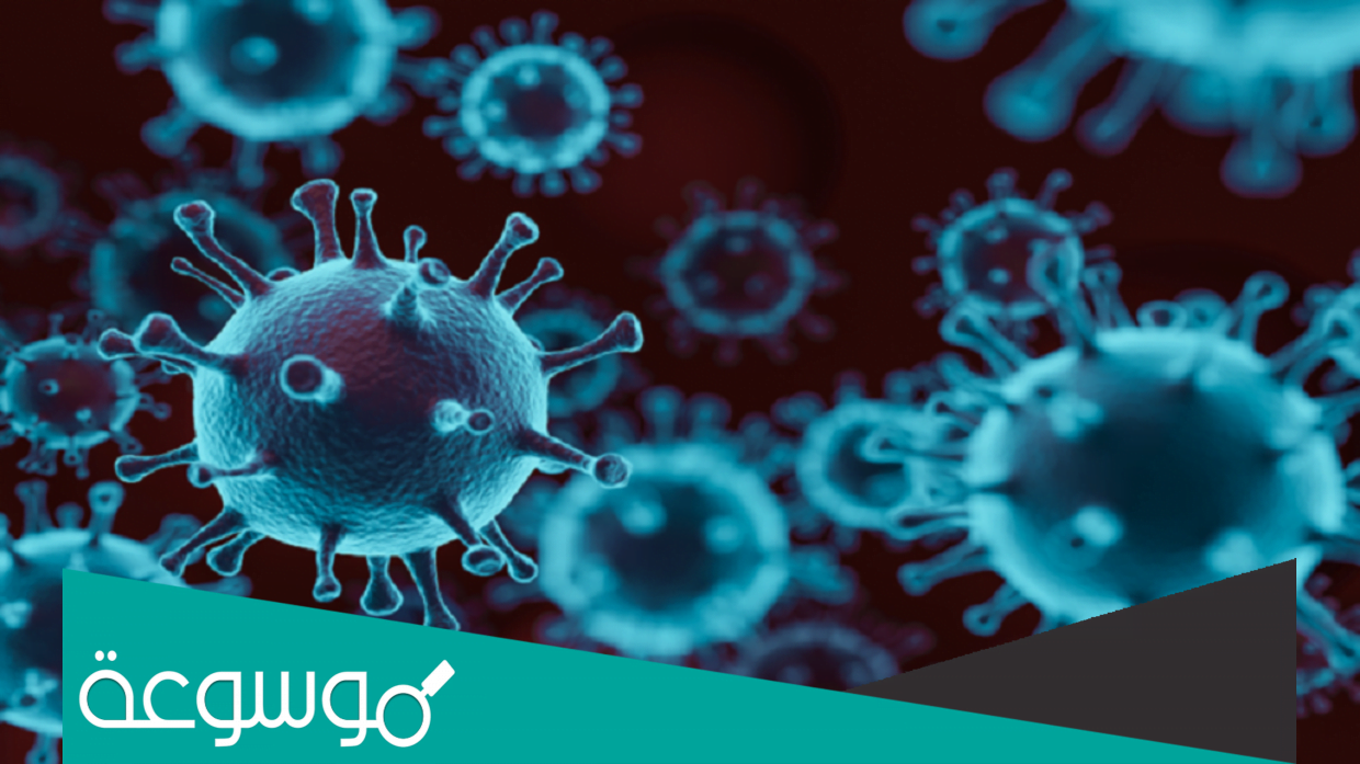 معلومات عن فيروس نيوكوف وما هي اعراضه