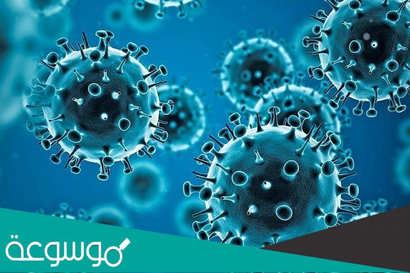 معلومات عن متحور ايهو في فرنسا واهم اعراضه