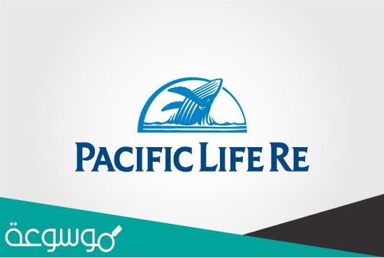 معلومات وتجارب انظمة شركة pacific prime للتأمين بالإمارات