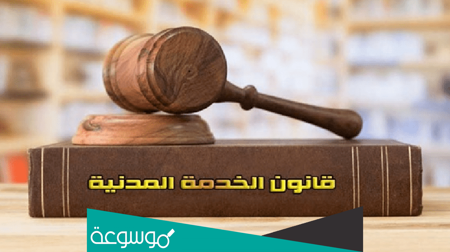 من هم المخاطبين بقانون الخدمة المدنية