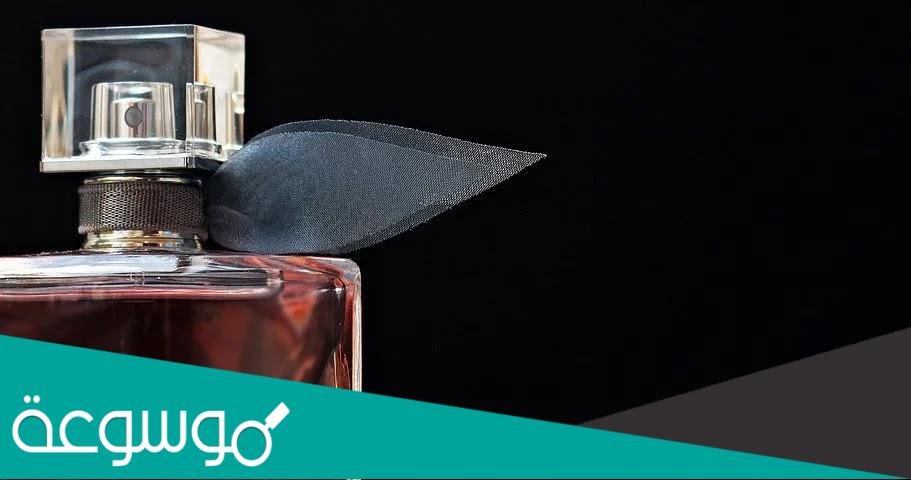 من هو المشهور بوح عبدالله ويكيبيديا