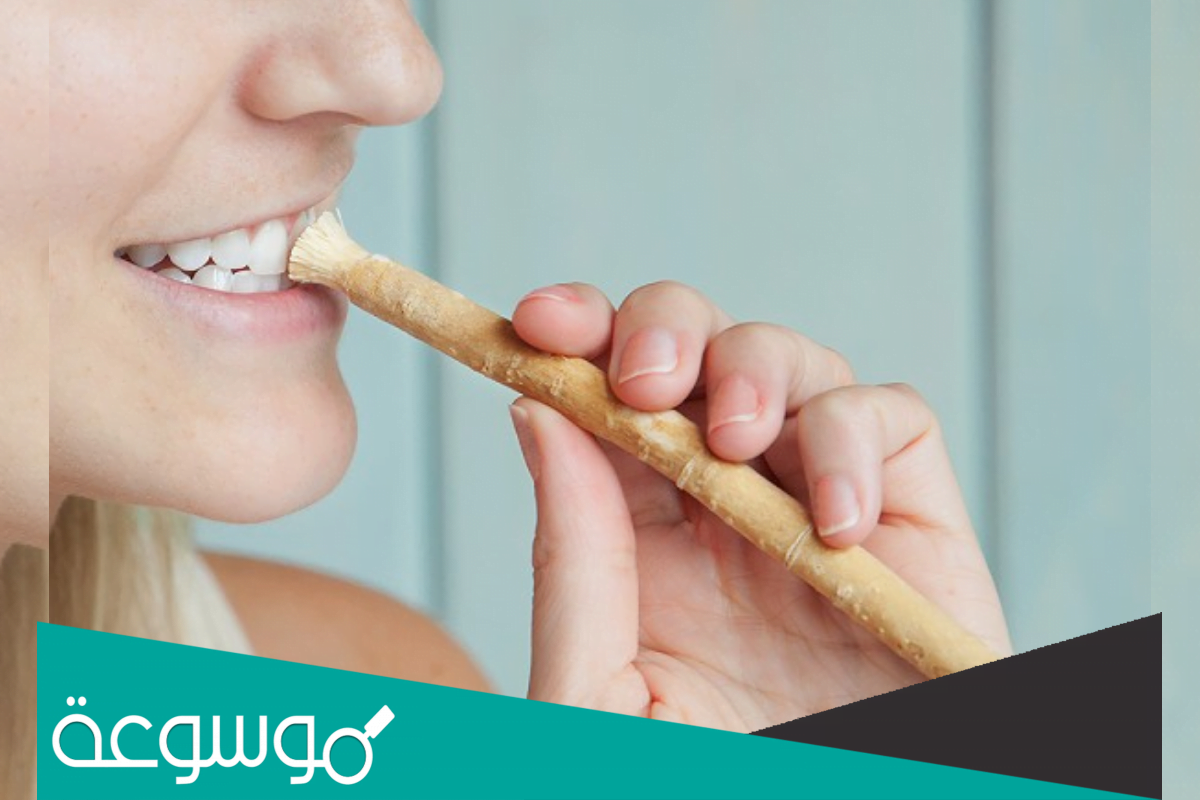 تفسير رؤية السواك في المنام حسب تفسير ابن سيرين والعصيمي