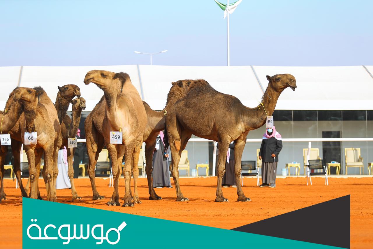 نتائج الصفر 1443