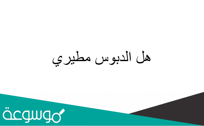 هل الدبوس مطيري