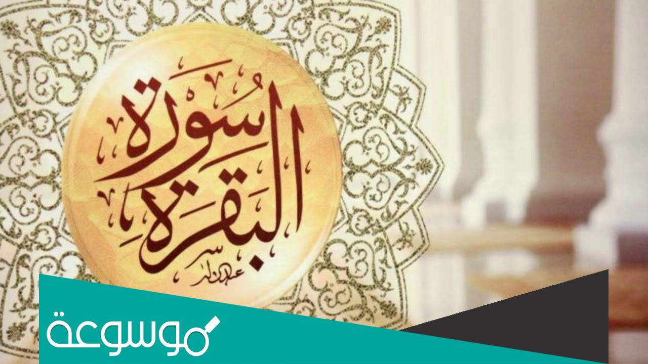 تفسير رؤية قراءة سورة البقرة في المنام حسب تفسير ابن سيرين والنابلسي