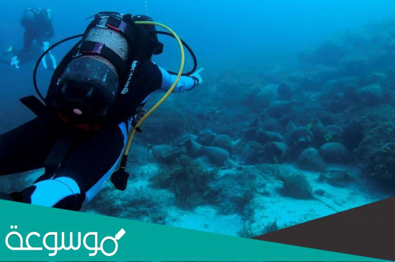 هل تعلم لماذا يلقي الغواص بنفسه إلى الوراء ؟