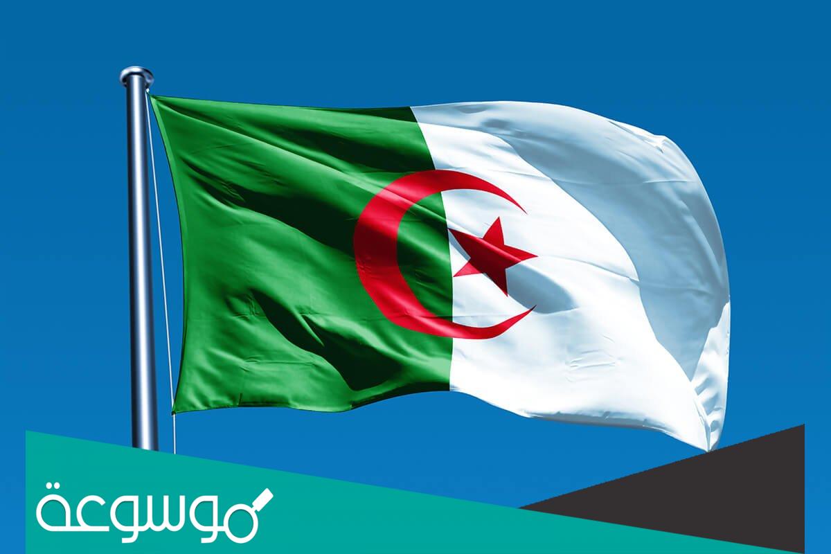 هل توجد دراسة غدا في الجزائر