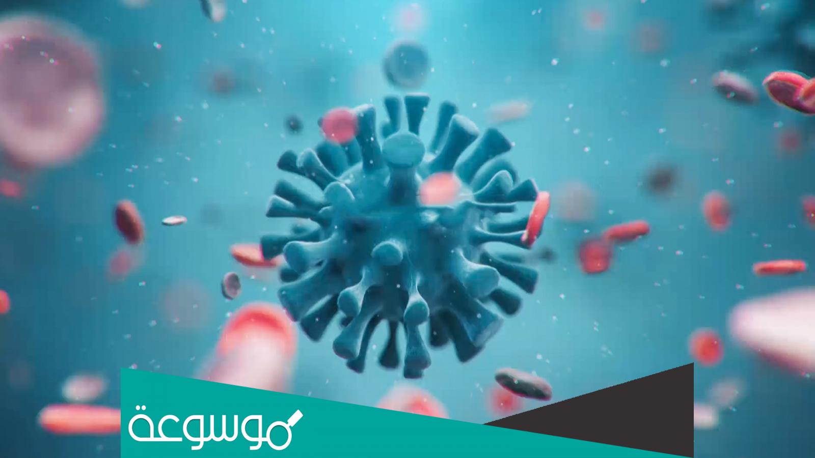 هل سيأتي يوم ويختفي كورونا نهائيا من العالم؟