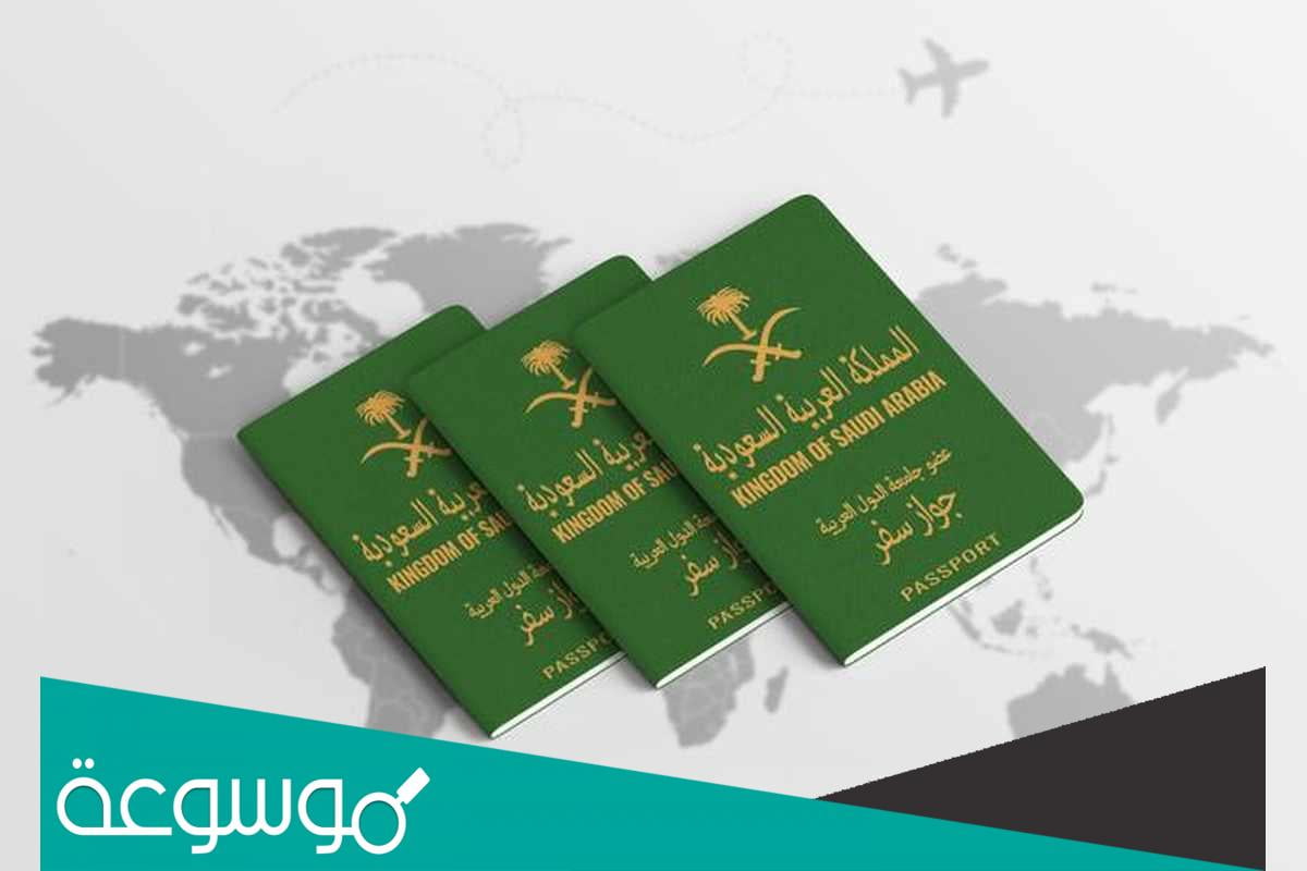 وش الفرق بين الجواز الدبلوماسي والخاص