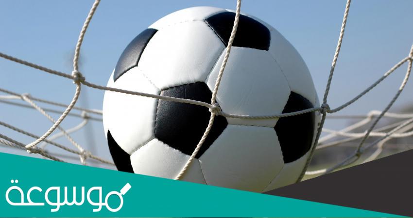 وش معنى ريمونتادا