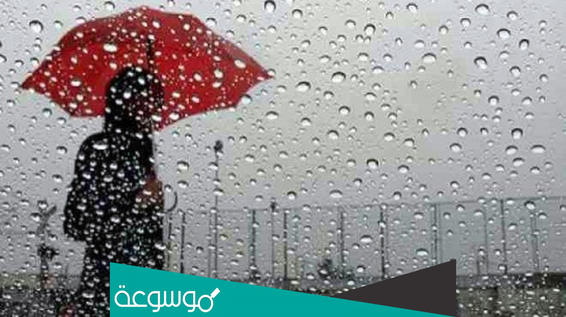 يقول ابن القيم عن المطر