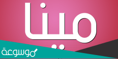 معنى اسم مينا في علم النفس واللغة العربية