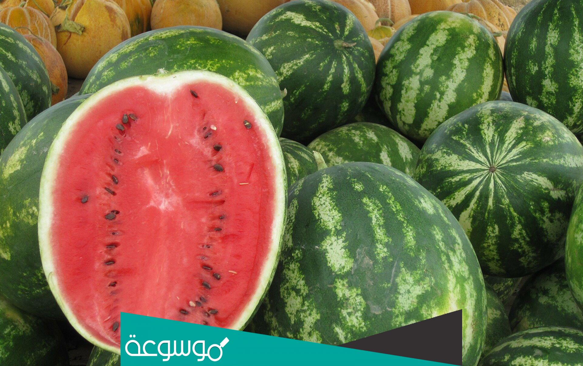 تفسير رؤية البطيخ في المنام حسب تفسير ابن سيرين
