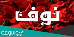 معنى اسم نوف Nouf في القران الكريم