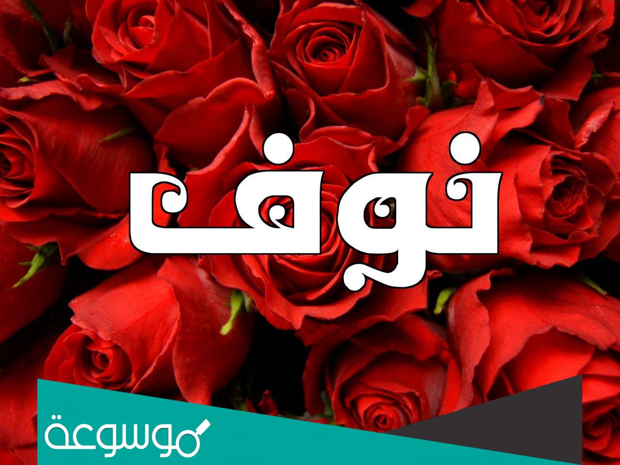 معنى اسم نوف في القران الكريم وشخصيتها