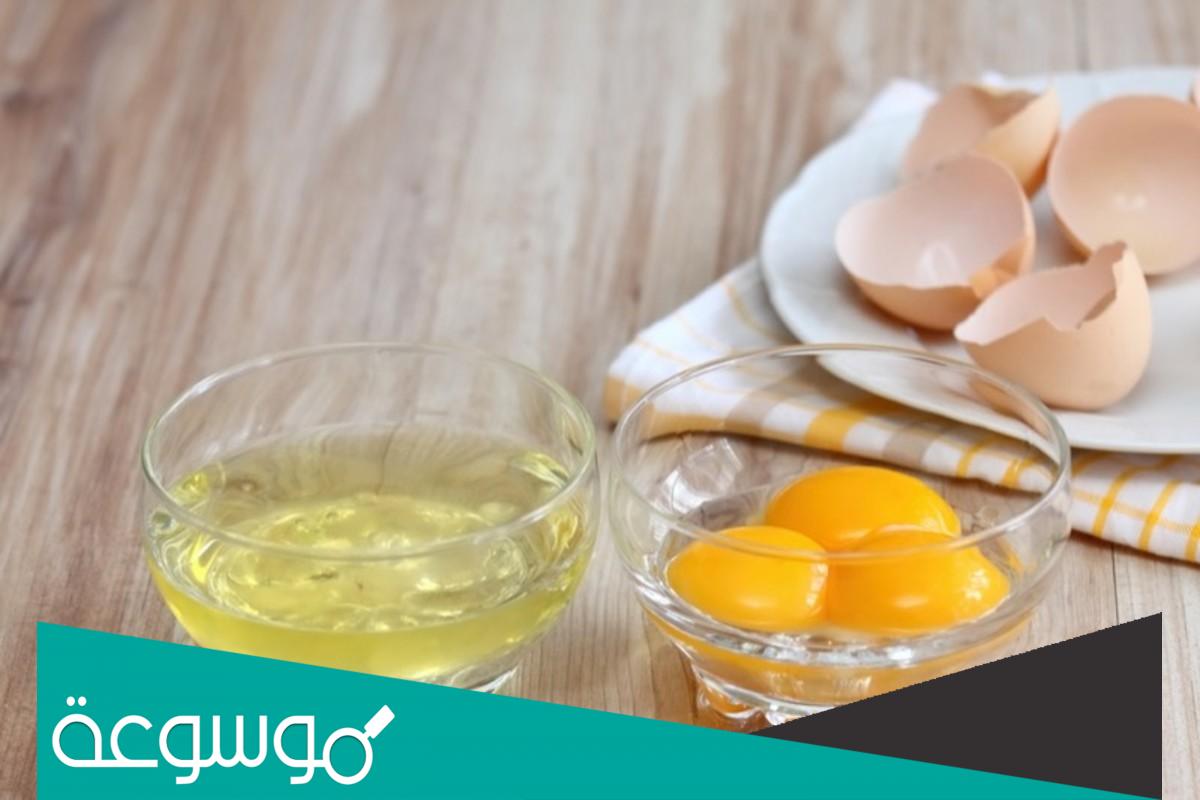 فوائد زلال البيض واضراره للجسم والشعر