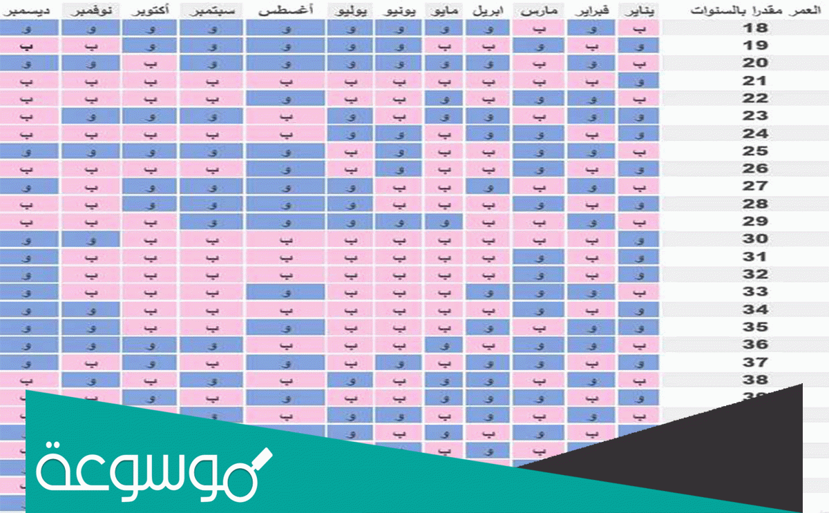 ما هو البرنامج الصيني للحمل وما استخداماته