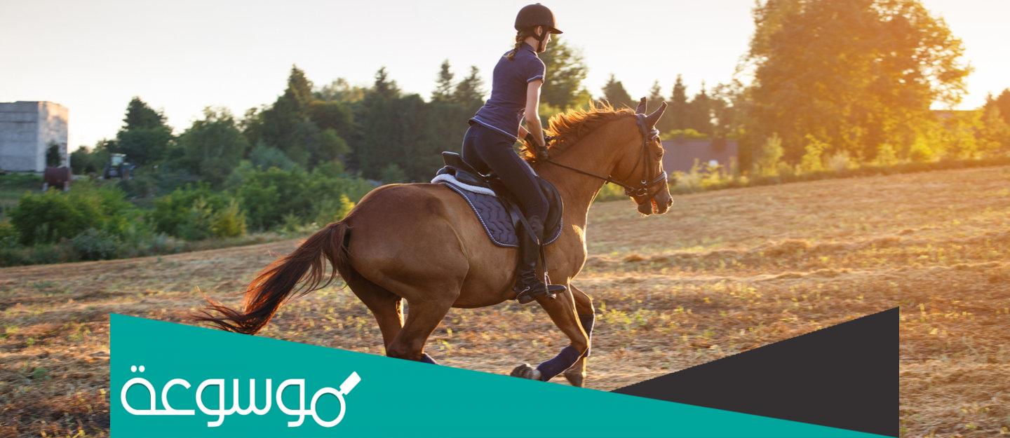 فوائد ركوب الخيل للجسم والأمراض التي يعالج منها