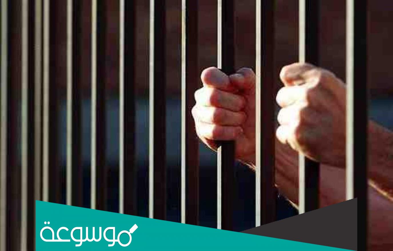 ما هي عقوبة من يفشي وثائق سرية للجهات الحكومية
