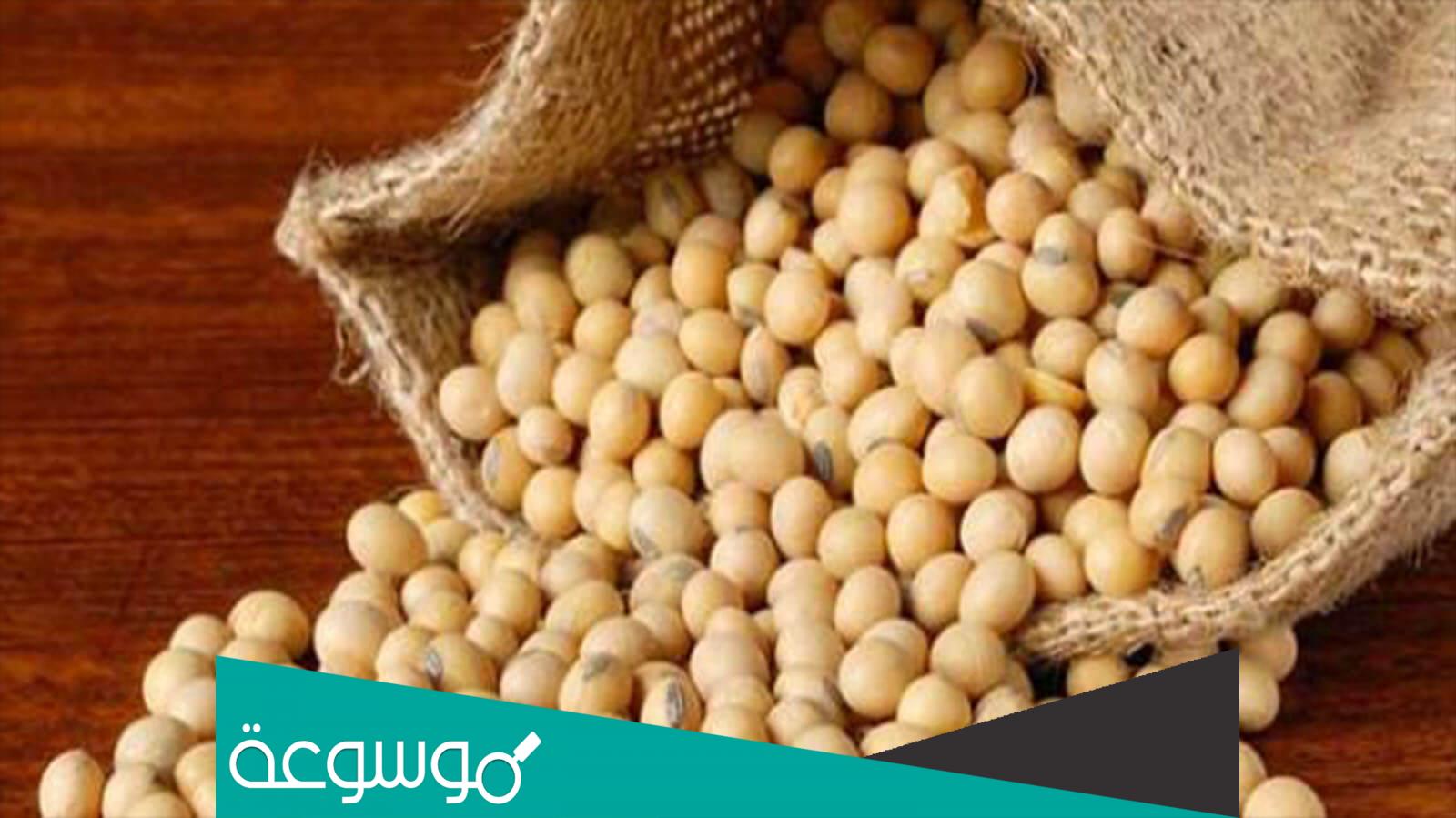 تجربتي مع فول الصويا لزيادة الوزن وأهم وفائدة