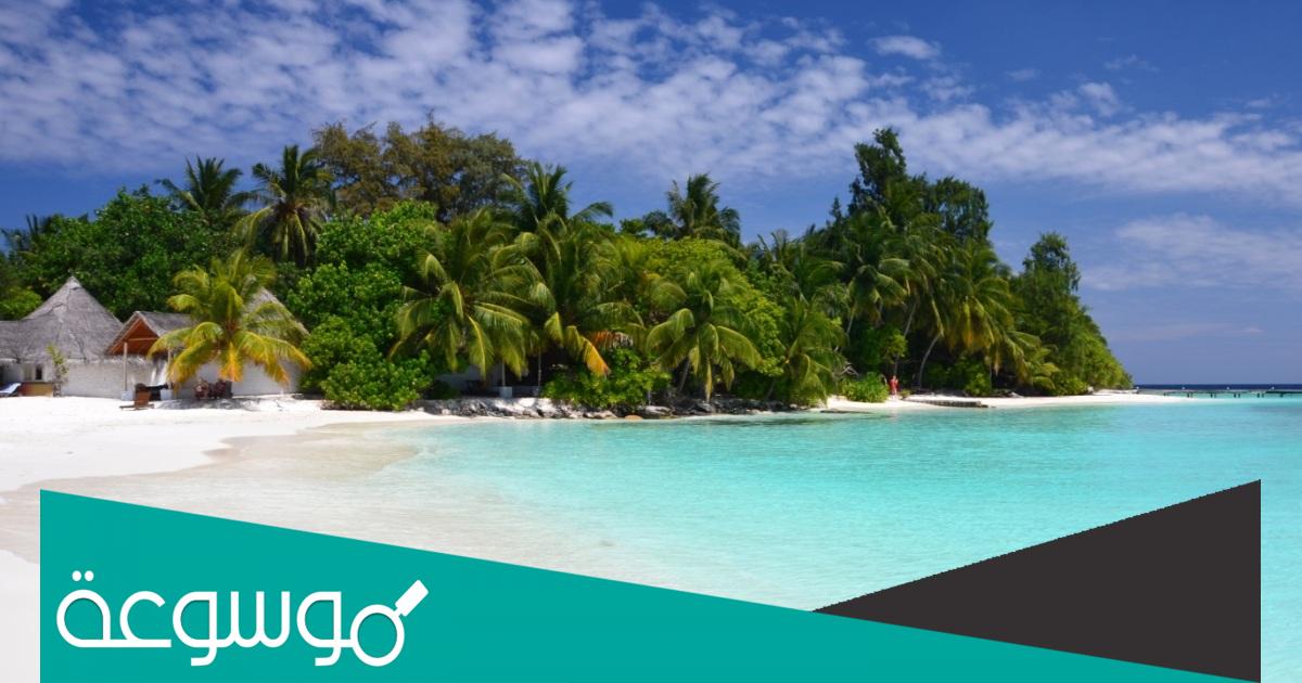 ما أكثر الدول ارتفاعاً عن سطح البحر في العالم