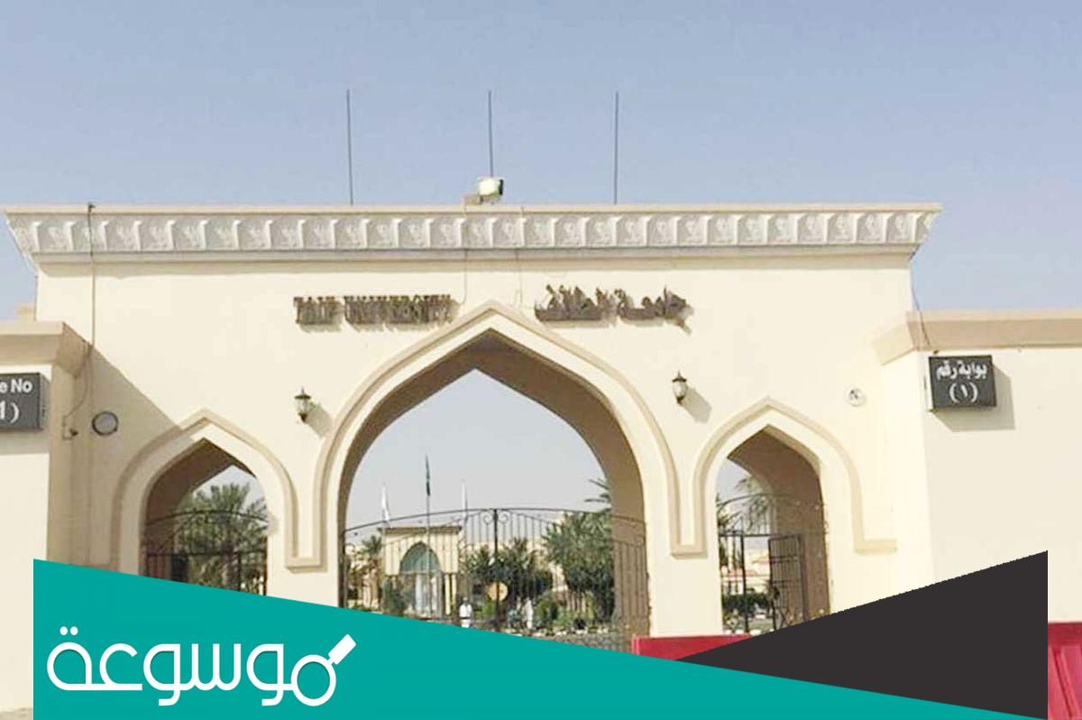 كم النسبة المطلوبة للقدرات والتحصيلي 1443 جامعة الطائف؟