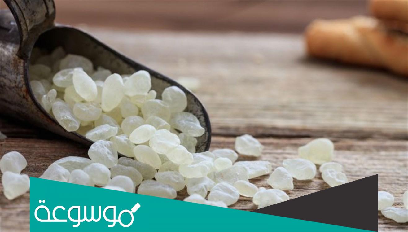 ما طريقة استخدام المستكة في الأكل وطريقة تحضيرها