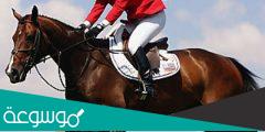 سلبيات وايجابيات ركوب الخيل وأهمية تعلم ركوب الخيل