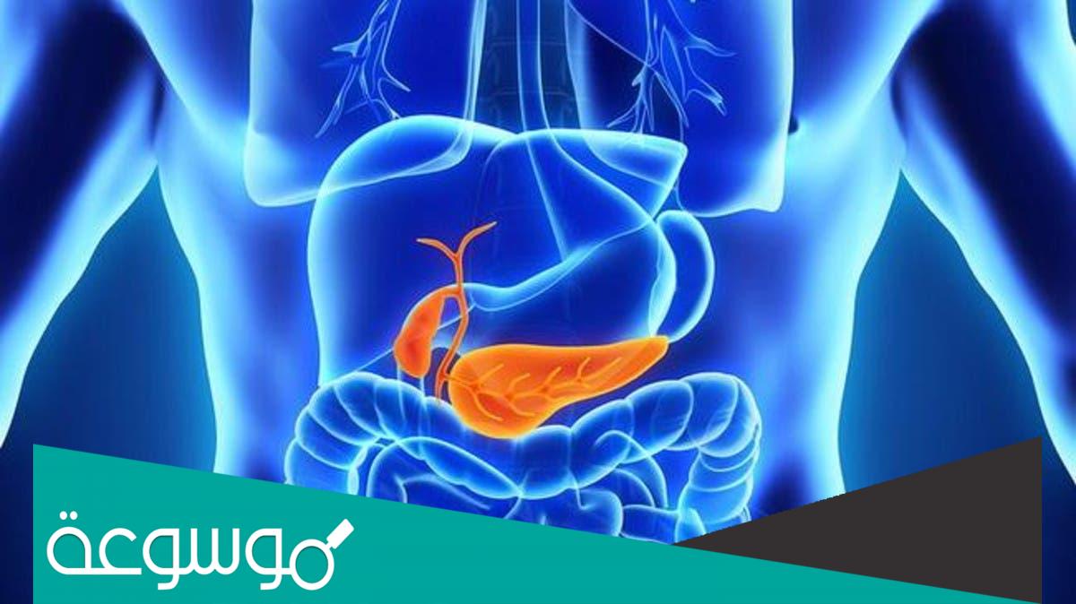 كيف تنشط عمل البنكرياس وصفات مجربة
