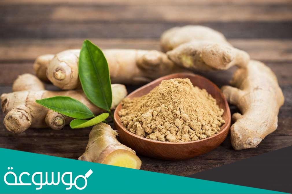 فوائد الزنجبيل للحامل وهل يسبب اجهاض أم لا