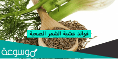 ما هي فوائد شمر للتخسيس وما هو الشمر