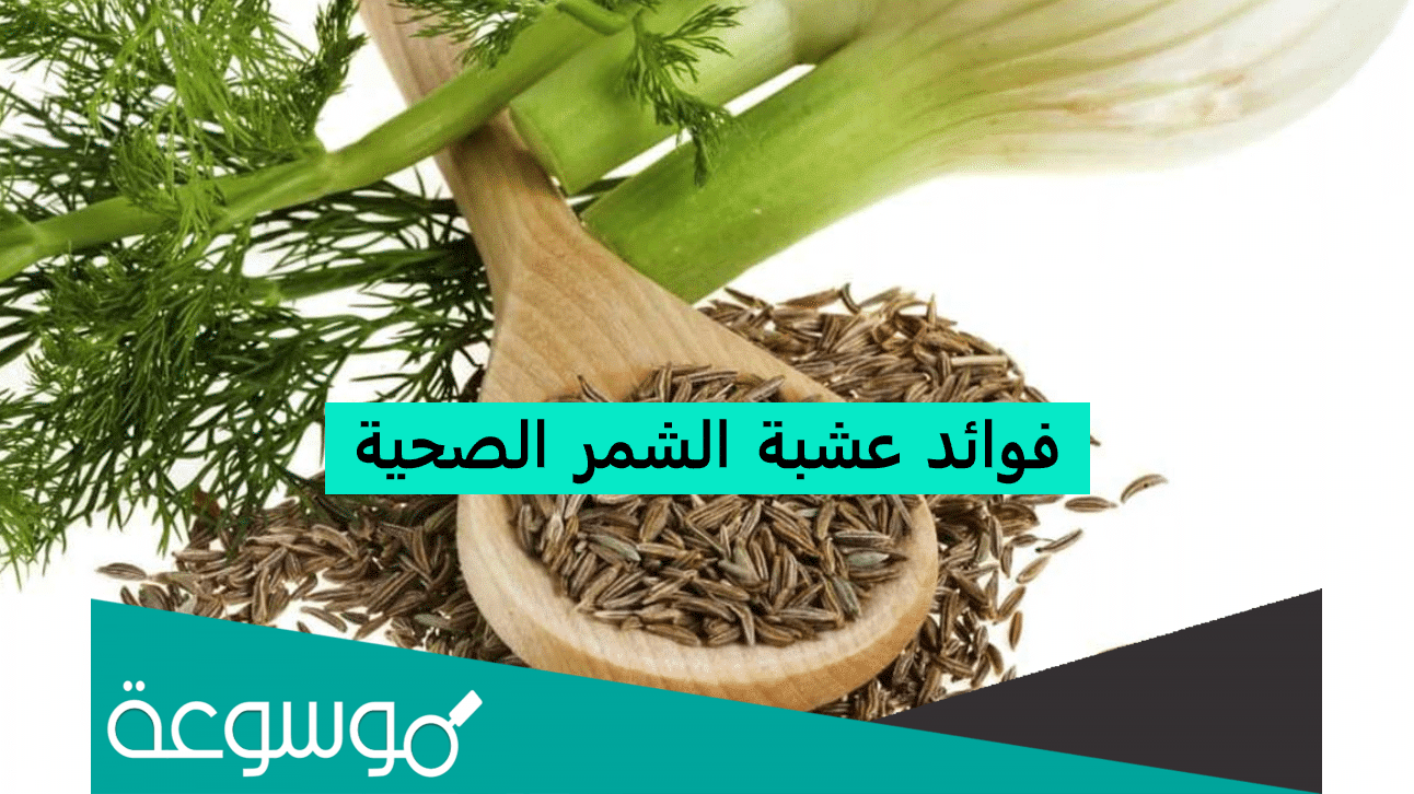 ما هي فوائد شمر للتخسيس وما هو الشمر