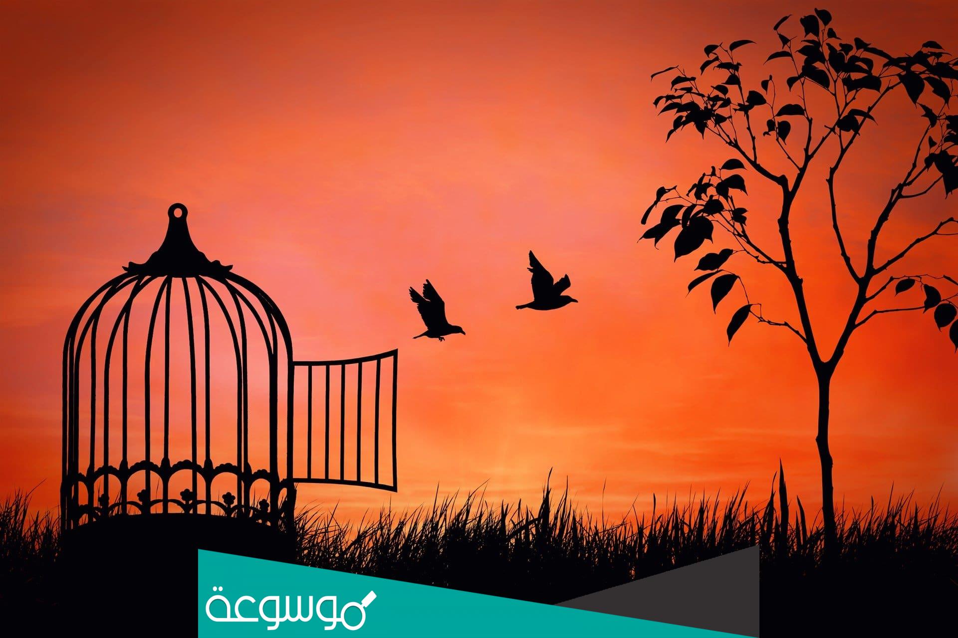 تعبير عن الحرية وكلمات جميلة ومعبرة