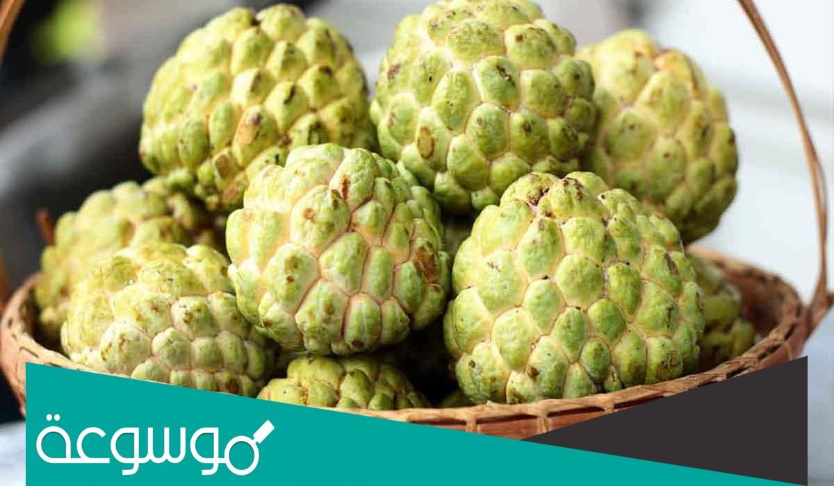 فوائد فاكهة القشطة الصحية وضغط الدم