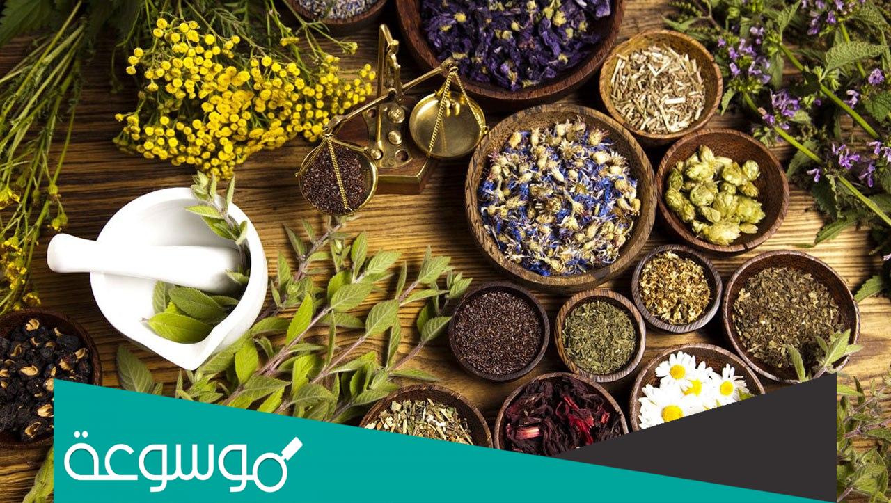 ما طريقة تنظيم الهرمونات عند المرأة بالأعشاب الطبيعية