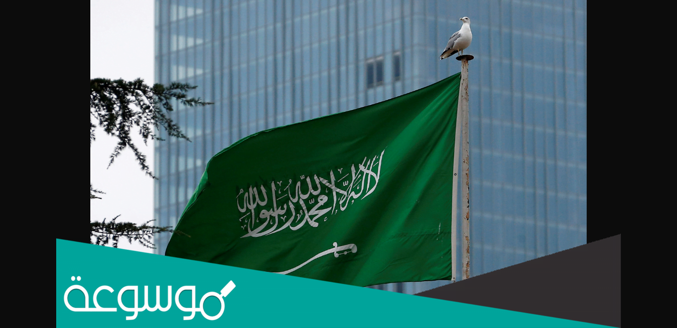القبيسي وش يرجعون
