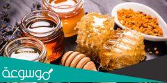 ما معنى كلمة عسل وفوائده الغذائية للجسم