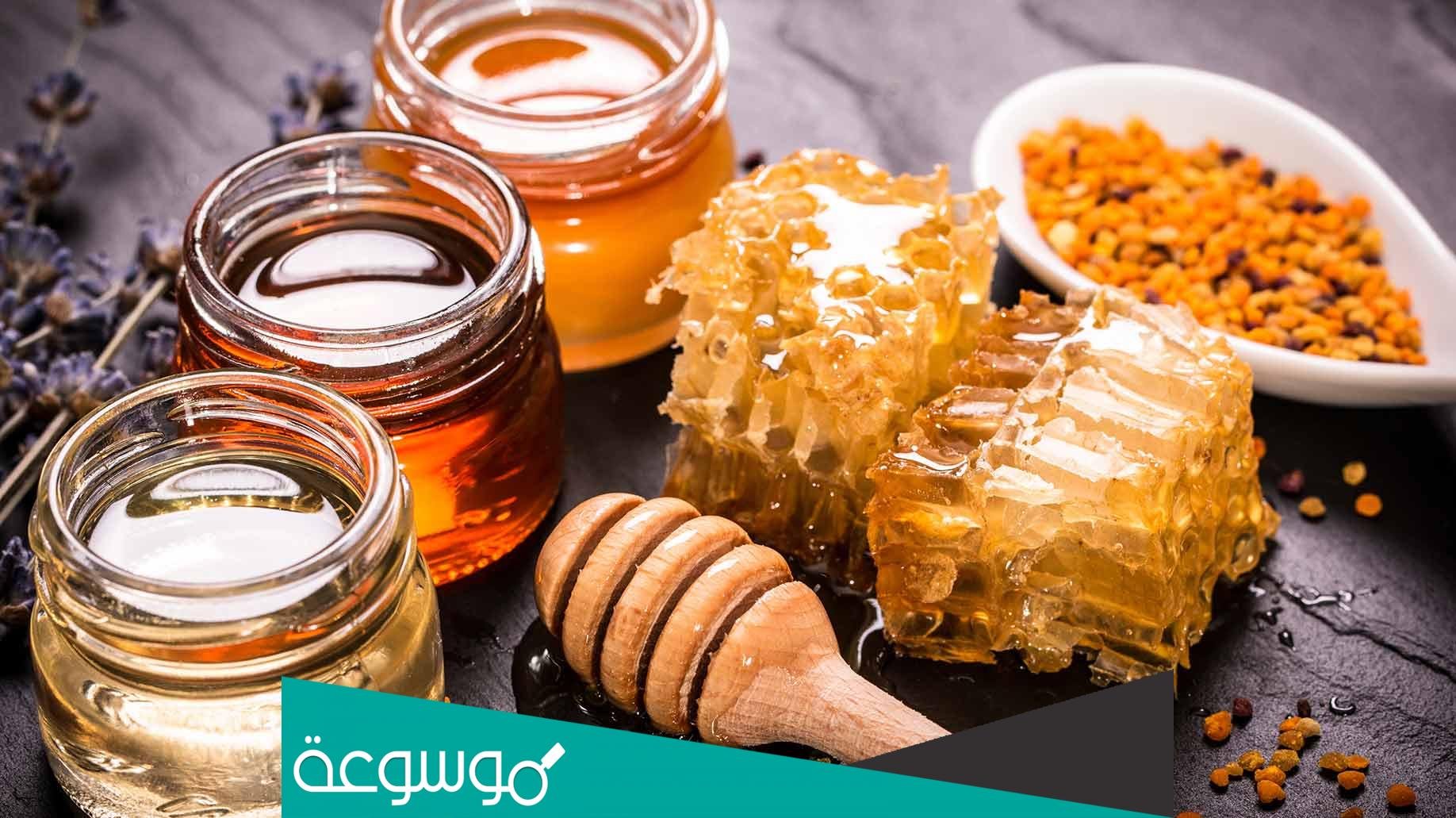 ما معنى كلمة عسل وفوائده الغذائية للجسم
