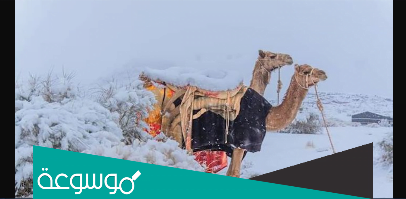 متى ينتهي فصل الشتاء 1443