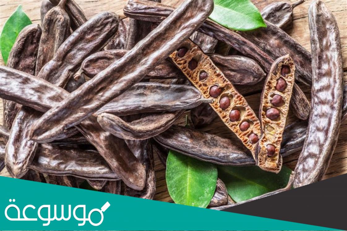 ما هي فوائد الخروب للصحة والحمل والرضاعة