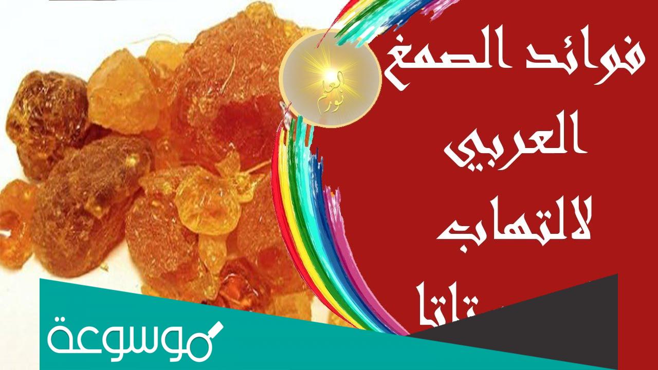 فوائد الصمغ العربي للبروستاتا وسبب هذا المرض